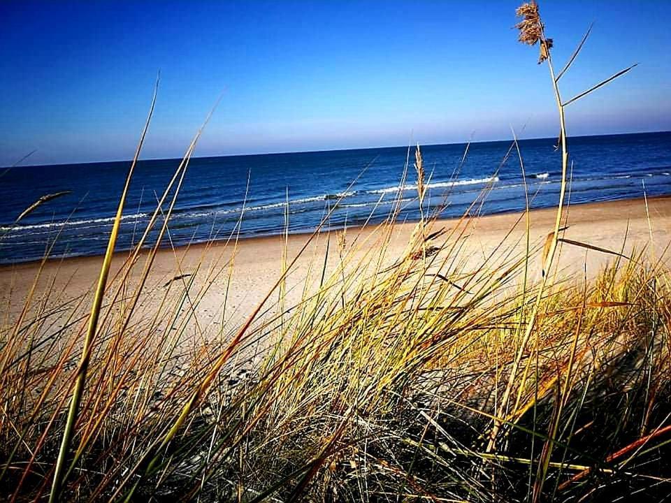 Dianos Apartamentai Palanga Esterno foto